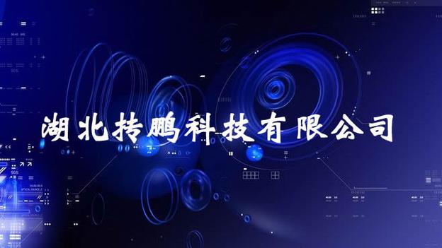 湖北抟鹏科技 深耕网络技术服务，驱动企业数字化转型新引擎